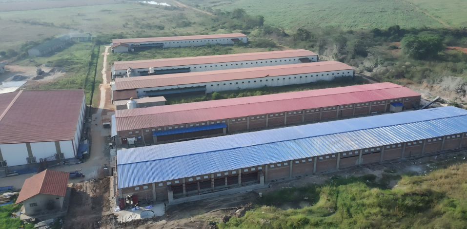 Proyek 1 Juta Lapisan Uganda