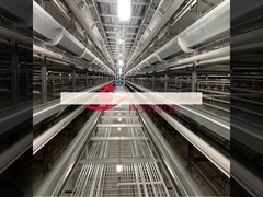 Biaya efektif lapisan sistem kandang ayam Q235 Baja