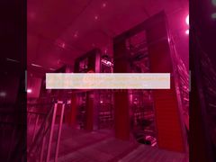 60000 Sistem Kandang Ayam Lapisan Aman untuk Peternakan Rusia dengan 9 Burung per Sel dan Desain Ramah Lingkungan