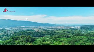 perampok pertanian | Proyek 1 juta lapisan di Sichuan
