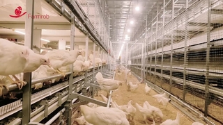 Sistem kesejahteraan Farmrob