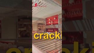 perampok pertanian | Pengangkatan telur yang stabil